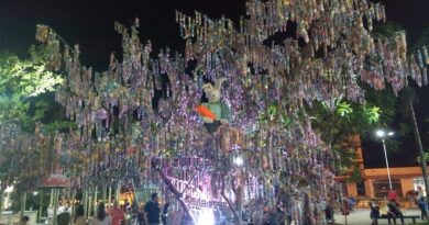 Árvores na Praça Getúlio Vargas contaram com 52 mil casquinhas penduradas