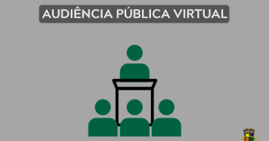 Audiência Pública Virtual